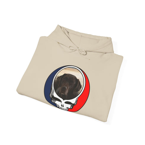 Custom Dog Premium Unisex Stealie Hoodie (74)