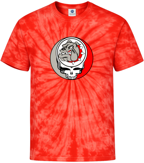 1732 - Custom Stealie Tie-Dye