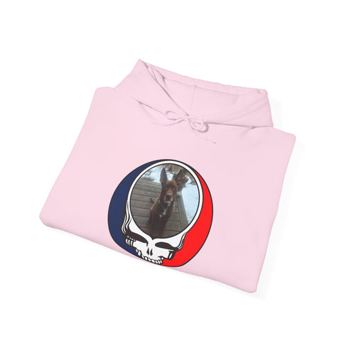 Custom Dog Premium Unisex Stealie Hoodie (116)