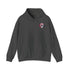 Grateful Dead - Houston Texans Dancing Bear Unisex Hoodie - NFL - StealieShop