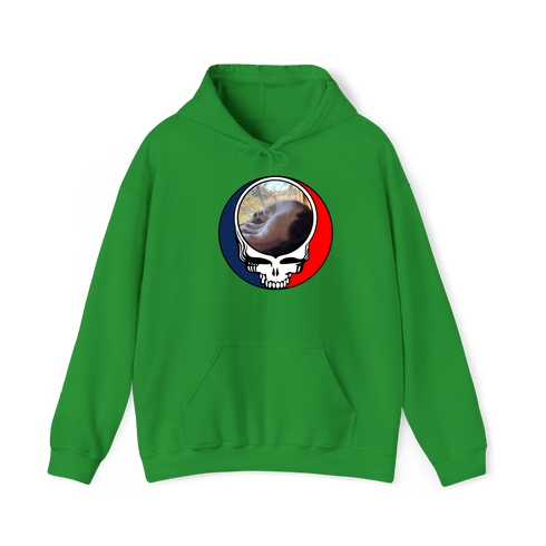 1634 - Custom Stealie Hoodie
