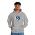 Interlochen Center for The Arts Steal Your Face Grateful Dead Unisex Hoodie - StealieShop