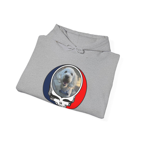 Custom Dog Premium Unisex Stealie Hoodie (77)