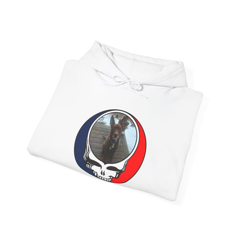 Custom Dog Premium Unisex Stealie Hoodie (116)