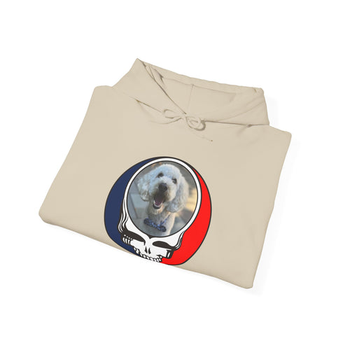 Custom Dog Premium Unisex Stealie Hoodie (77)