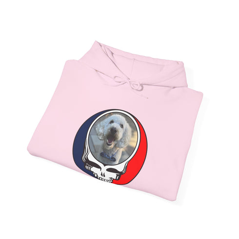 Custom Dog Premium Unisex Stealie Hoodie (77)