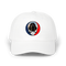 1694 - Custom Stealie Dad Hat
