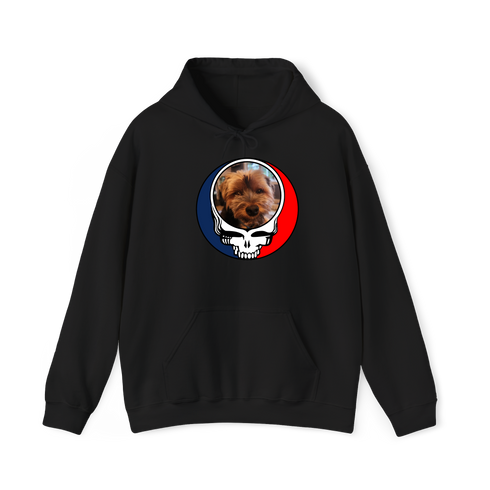 1625 - Custom Stealie Hoodie