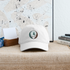 Vermont "Unofficial" State Flag Stealie Grateful Dead Dad Hat - white