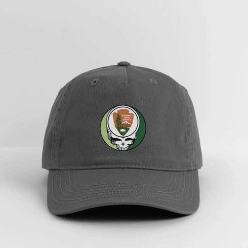 National Park Service Grateful Dead Stealie Dad Hat - charcoal