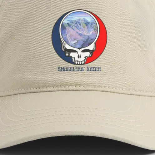 Smugglers' Notch Trail Map Stealie Grateful Dead Dad Mug