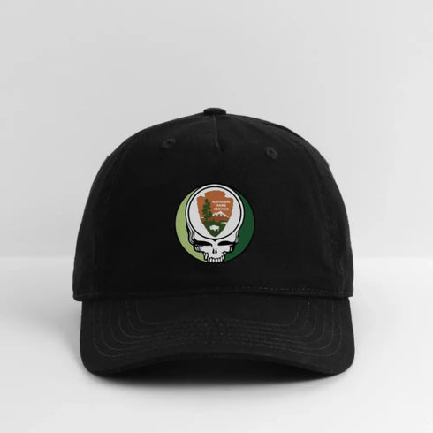National Park Service Grateful Dead Stealie Dad Hat - black