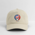 2026 Team USA World Cup Grateful Dead Stealie Dad Hat - khaki
