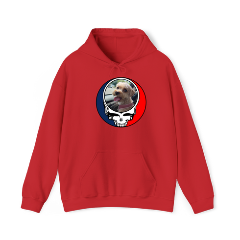 1644 - Custom Stealie Hoodie