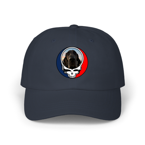 1694 - Custom Stealie Dad Hat