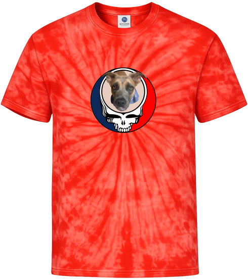 1464 - Custom Stealie Tie-Dye