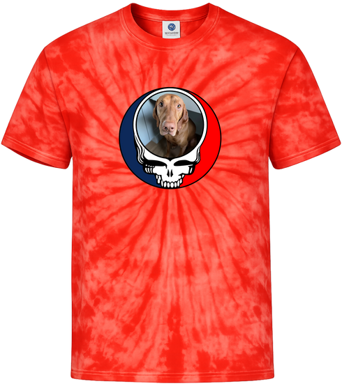 1693 - Custom Stealie Tie-Dye