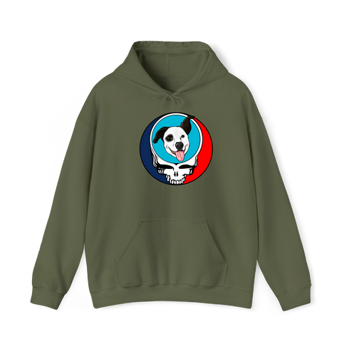 1593 - Custom Stealie Hoodie