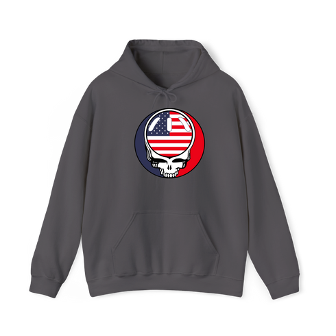 1681 - Custom Stealie Hoodie