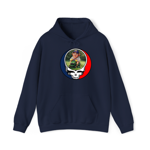 1588 - Custom Stealie Hoodie