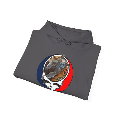 Custom Cat Stealie Premium Unisex Stealie Hoodie (5)