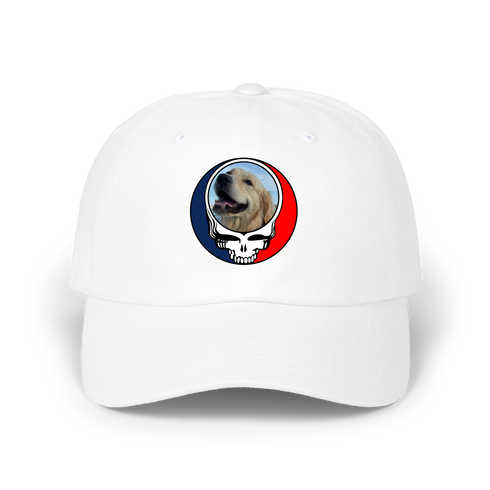 1698 - Custom Stealie Dad Hat