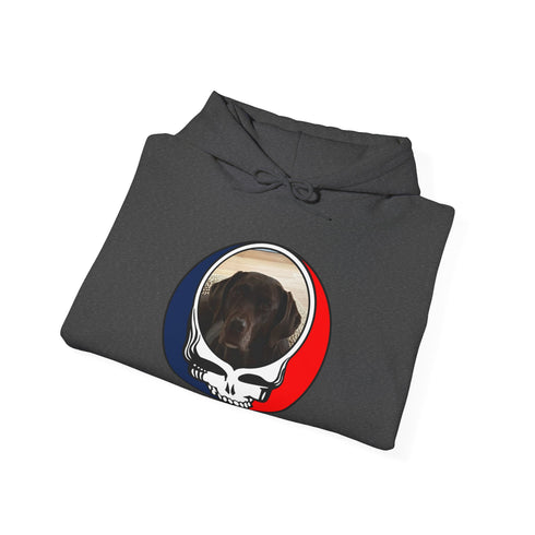 Custom Dog Premium Unisex Stealie Hoodie (74)