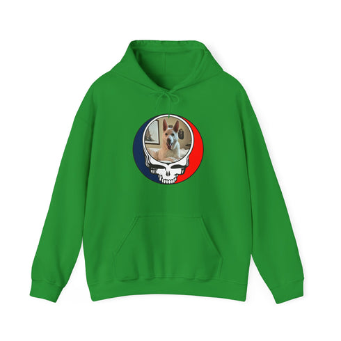 Custom Dog Premium Unisex Stealie Hoodie