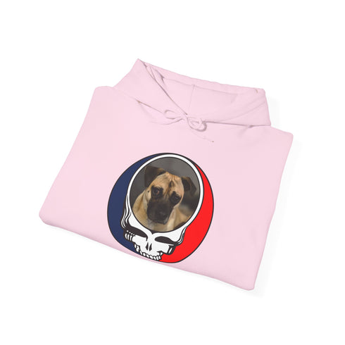 Custom Dog Stealie Premium Unisex Stealie Hoodie (167)