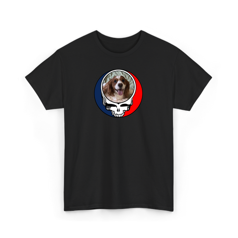 1712 - Custom Stealie T-Shirt