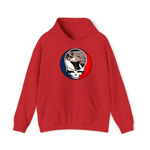 1480 - Custom Stealie Hoodie