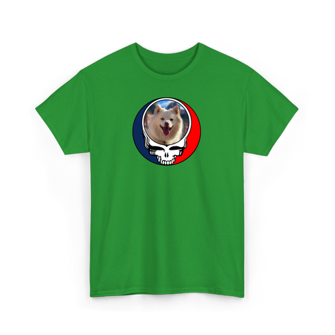 1649 - Custom Stealie T-Shirt