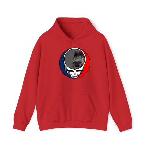 1720 - Custom Stealie Hoodie