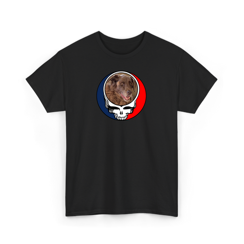 1728 - Custom Stealie T-Shirt