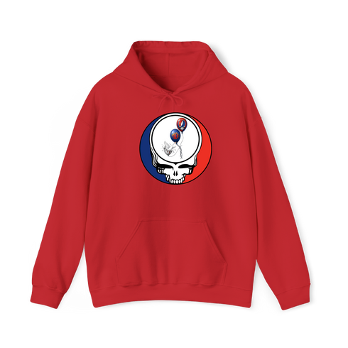 1673 - Custom Stealie Hoodie