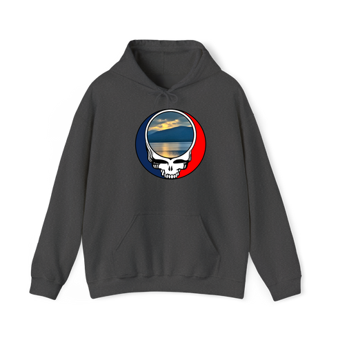 1552 - Custom Stealie Hoodie