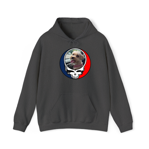 1644 - Custom Stealie Hoodie