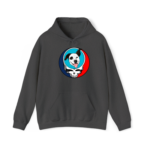 1593 - Custom Stealie Hoodie