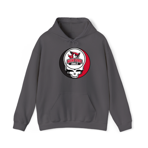 1393 - Custom Stealie Hoodie