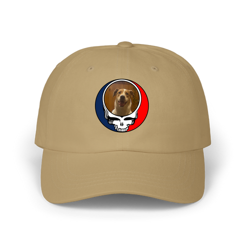 1656 - Custom Stealie Dad Hat