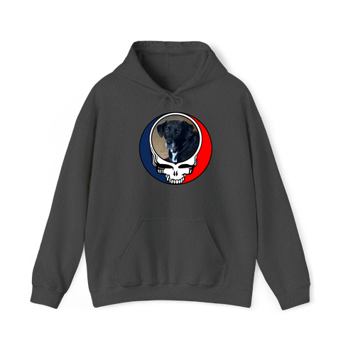 1568 - Custom Stealie Hoodie