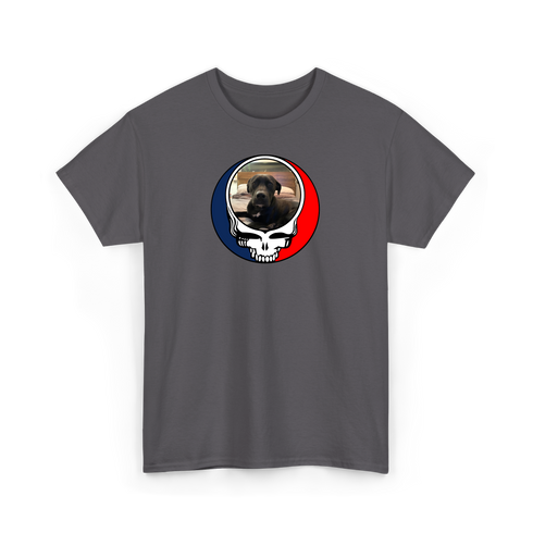 1522 - Custom Stealie T-Shirt