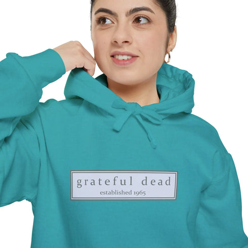 The Bolt Vineyard Collection Unisex Garment-Dyed Hoodie StealieShop