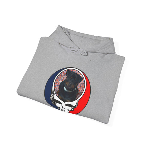 Custom Dog Premium Unisex Stealie Hoodie (106)