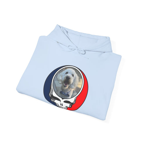 Custom Dog Premium Unisex Stealie Hoodie (77)