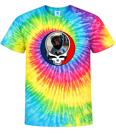 1646 - Custom Stealie Tie-Dye
