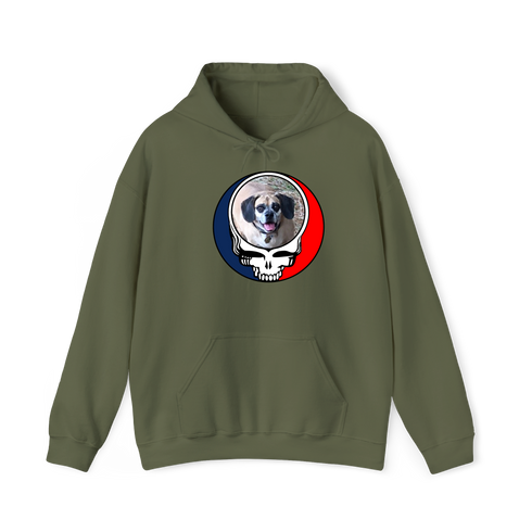 1735 - Custom Stealie Hoodie