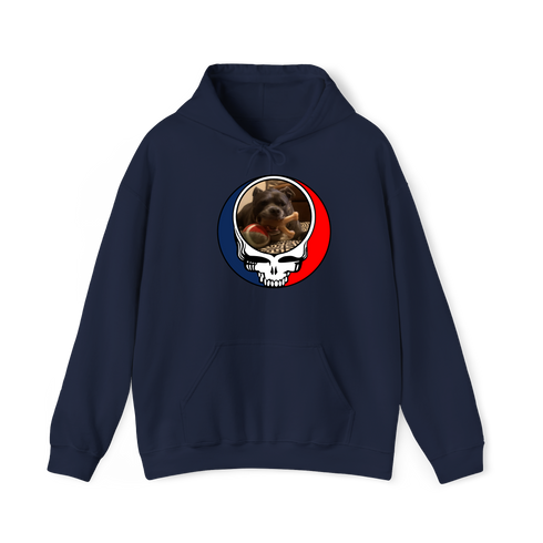 1544 - Custom Stealie Hoodie