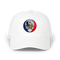 1706 - Custom Stealie Dad Hat