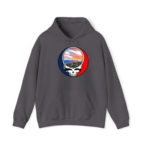1596 - Custom Stealie Hoodie